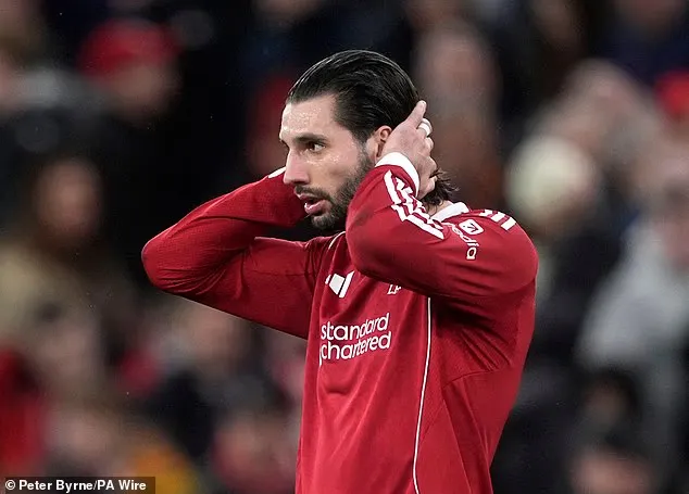 开云电子-索博：我理解球迷的愤怒，但请你们依然站在我们身后